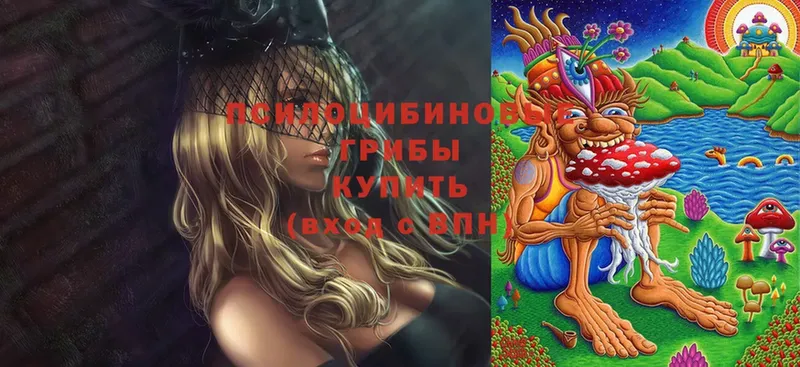 Псилоцибиновые грибы Cubensis  Большой Камень 